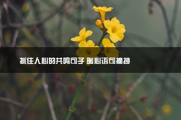 抓住人心的共鸣句子 暖心语句摘抄