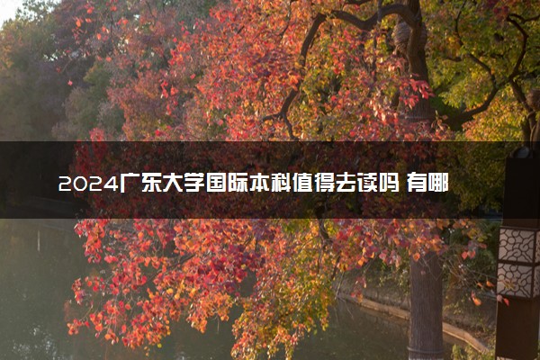 2024广东大学国际本科值得去读吗 有哪些优点