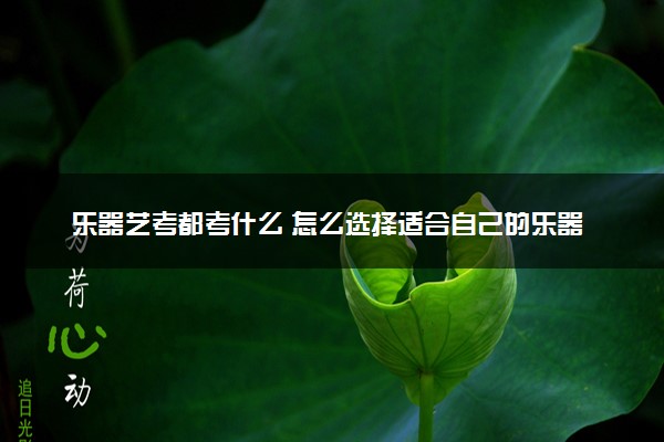 乐器艺考都考什么 怎么选择适合自己的乐器