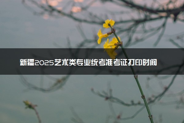 新疆2025艺术类专业统考准考证打印时间 几号打印