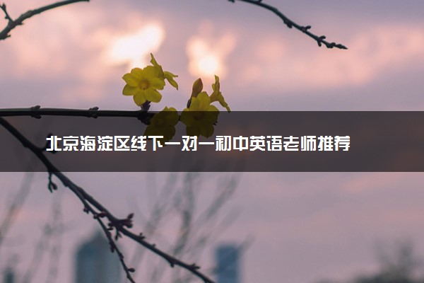 北京海淀区线下一对一初中英语老师推荐