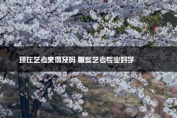 现在艺考来得及吗 哪些艺考专业好学