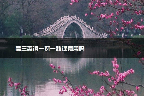 高三英语一对一补课有用吗