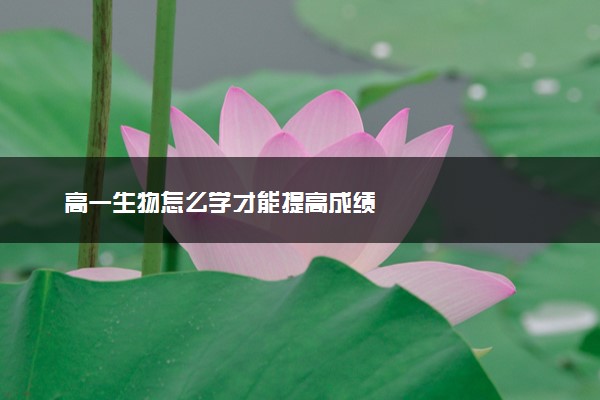 高一生物怎么学才能提高成绩