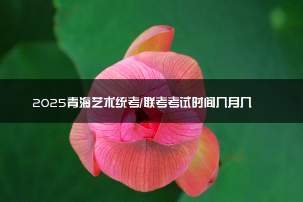 2025青海艺术统考/联考考试时间几月几号 哪天开考