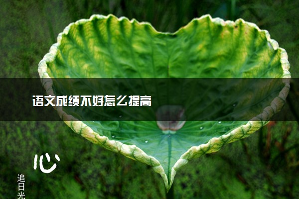 语文成绩不好怎么提高