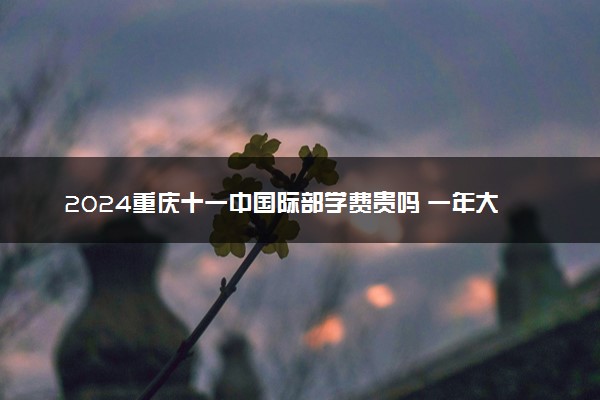 2024重庆十一中国际部学费贵吗 一年大概要多少钱