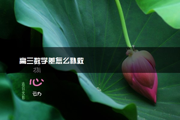 高三数学差怎么补救