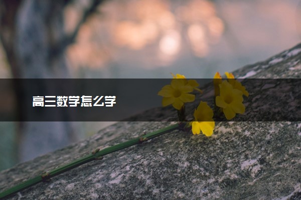 高三数学怎么学