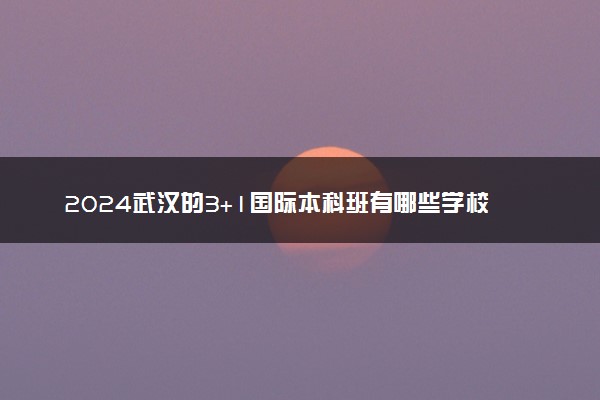 2024武汉的3+1国际本科班有哪些学校 学历认可吗