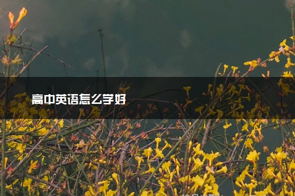 高中英语怎么学好