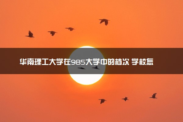 华南理工大学在985大学中的档次 学校怎么样
