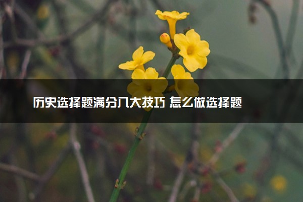 历史选择题满分八大技巧 怎么做选择题