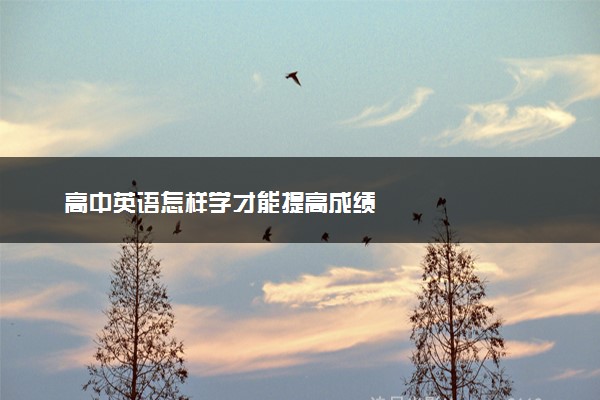 高中英语怎样学才能提高成绩