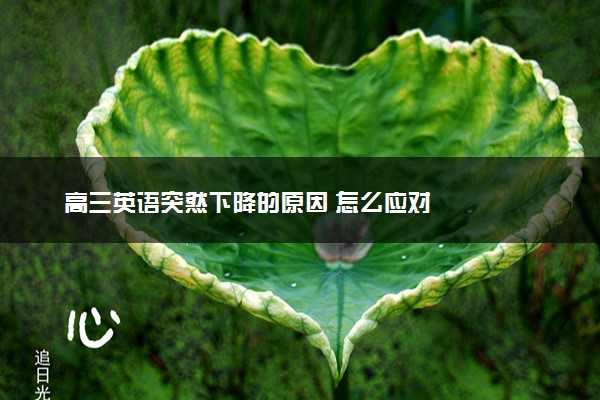 高三英语突然下降的原因 怎么应对