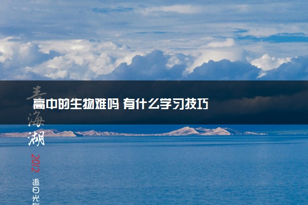 高中的生物难吗 有什么学习技巧