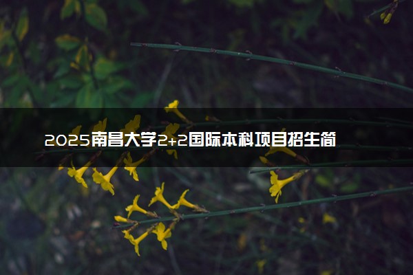 2025南昌大学2+2国际本科项目招生简章