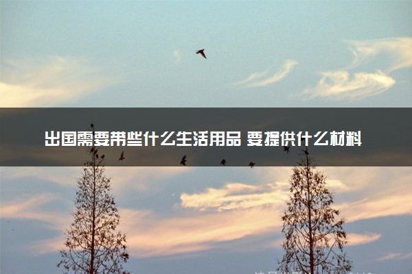 出国需要带些什么生活用品 要提供什么材料