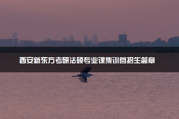 西安新东方考研法硕专业课集训营招生简章