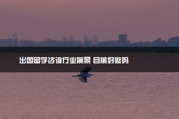 出国留学咨询行业前景 目前好做吗