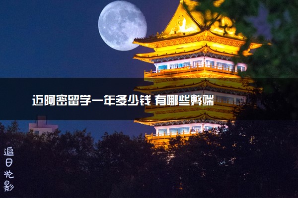 迈阿密留学一年多少钱 有哪些弊端