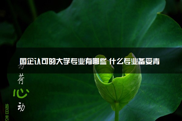 国企认可的大学专业有哪些 什么专业备受青睐