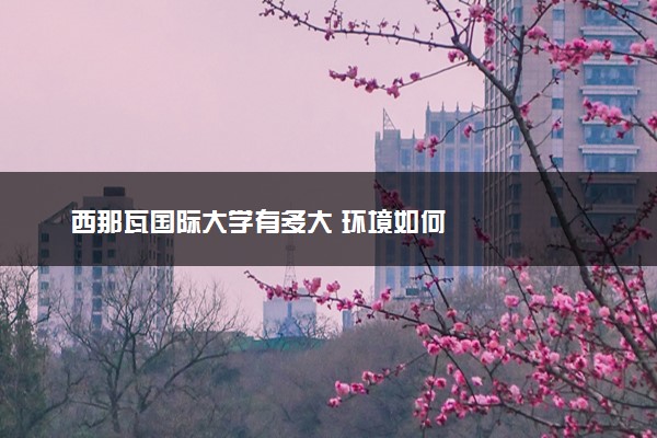 西那瓦国际大学有多大 环境如何