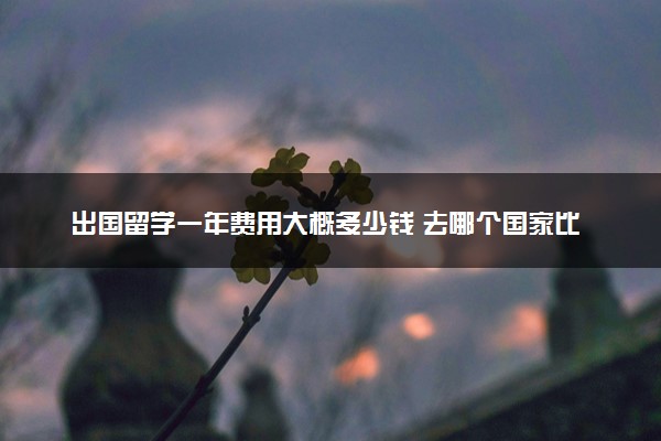 出国留学一年费用大概多少钱 去哪个国家比较好