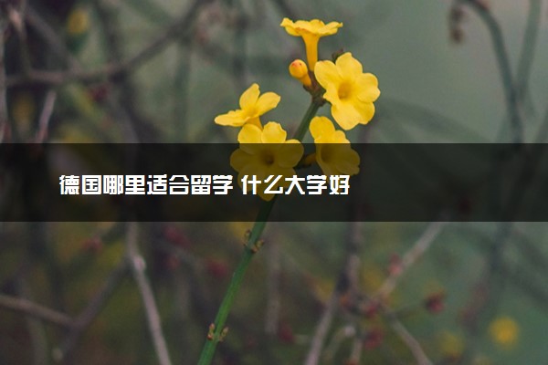德国哪里适合留学 什么大学好