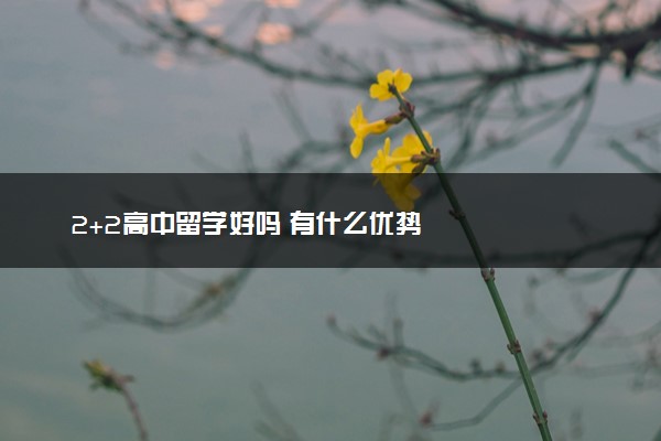 2+2高中留学好吗 有什么优势