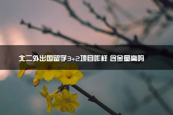北二外出国留学3+2项目咋样 含金量高吗