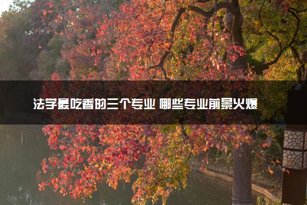 法学最吃香的三个专业 哪些专业前景火爆