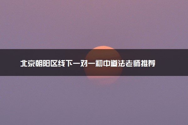 北京朝阳区线下一对一初中道法老师推荐