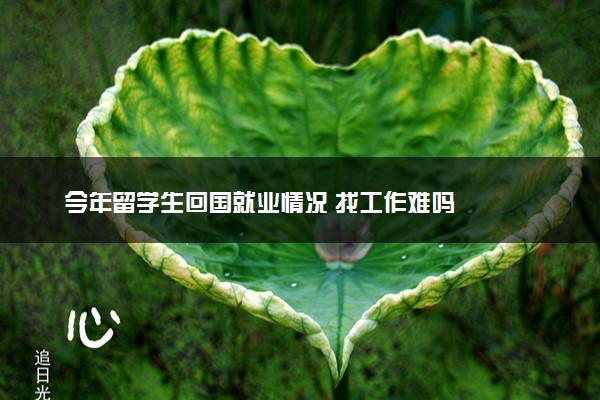 今年留学生回国就业情况 找工作难吗