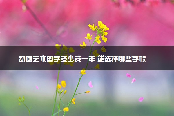 动画艺术留学多少钱一年 能选择哪些学校