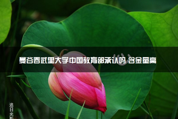 曼谷吞武里大学中国教育部承认吗 含金量高吗