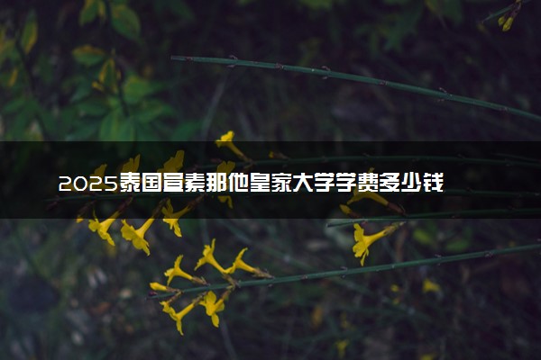 2025泰国宣素那他皇家大学学费多少钱 怎么缴纳