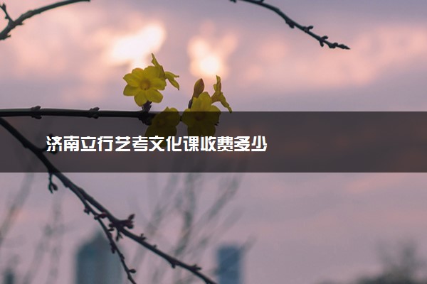 济南立行艺考文化课收费多少