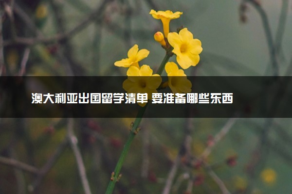 澳大利亚出国留学清单 要准备哪些东西
