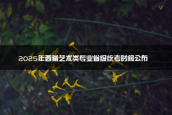 2025年西藏艺术类专业省级统考时间公布 哪天考试