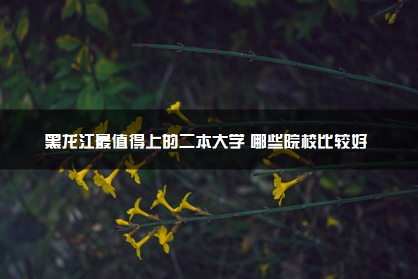 黑龙江最值得上的二本大学 哪些院校比较好