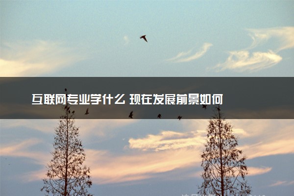 互联网专业学什么 现在发展前景如何