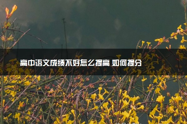 高中语文成绩不好怎么提高 如何提分