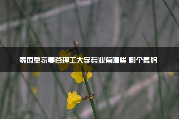 泰国皇家曼谷理工大学专业有哪些 哪个最好就业