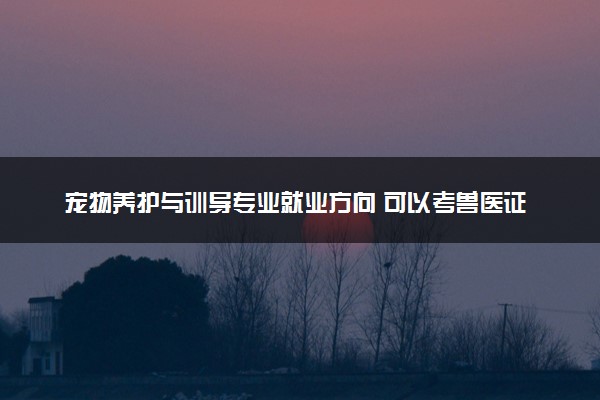 宠物养护与训导专业就业方向 可以考兽医证吗