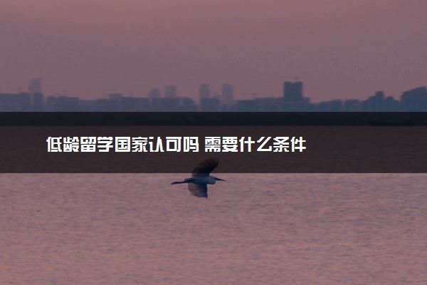 低龄留学国家认可吗 需要什么条件