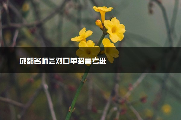 成都名师荟对口单招高考班