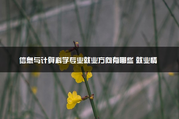 信息与计算科学专业就业方向有哪些 就业情况分析