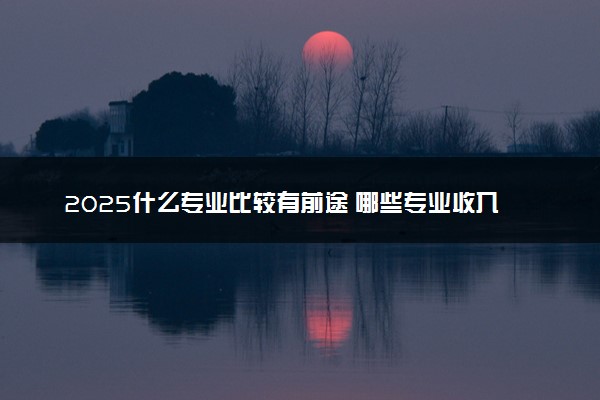2025什么专业比较有前途 哪些专业收入高