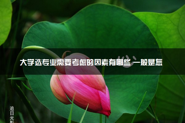 大学选专业需要考虑的因素有哪些 一般是怎么选的